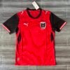 Austria 2026 World Cup Home Fan Edition Jersey