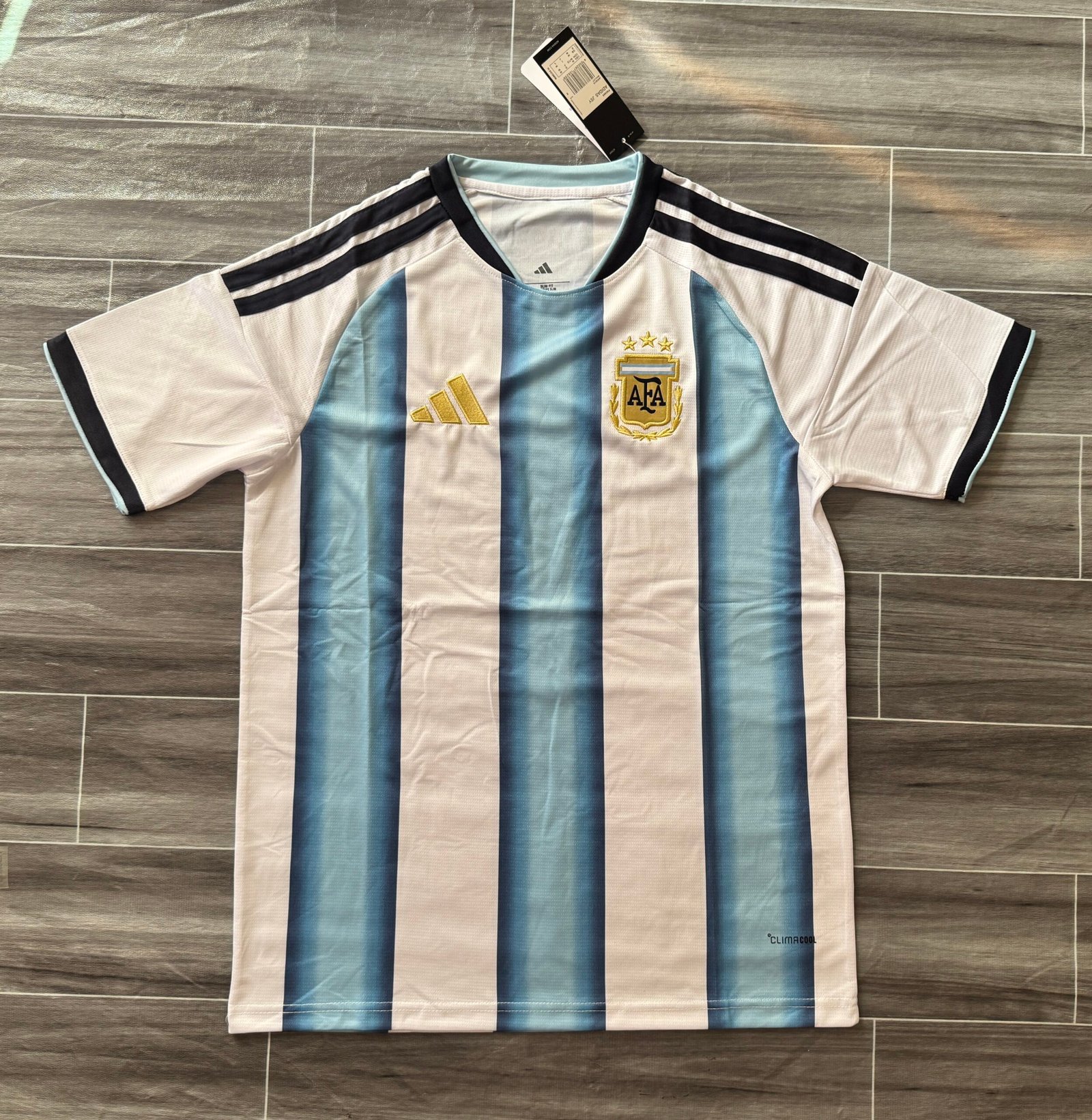 Argentina 2026 World Cup Home Fan Edition Jersey (Without Crest)