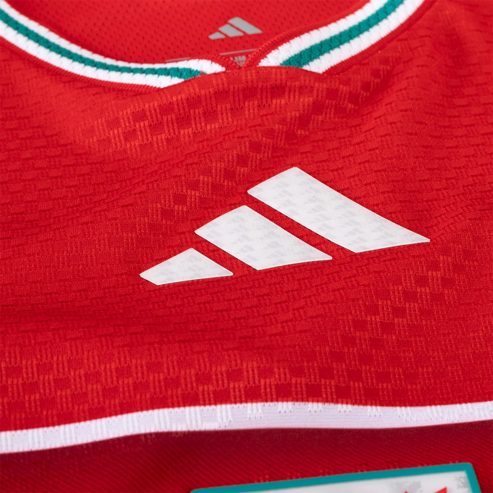 Men's Wales Home Jersey 2026