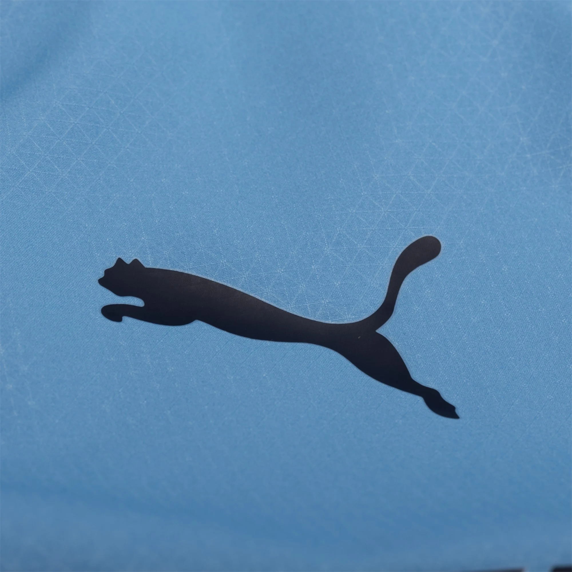 Men's Authentic Manchester City Home Jersey 25/26